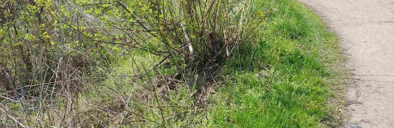  ������� ���� ����� 16-� ��� ����� ��������� �������� 