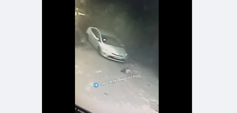 У Кременчуці водій розчавив собаку і втік: поліція прореагувала на злочин - ВІДЕО
