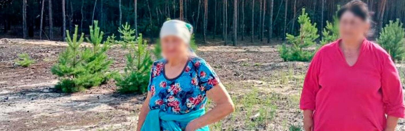 На Полтавщині дві подруги так шукали гриби, що самі загубилися