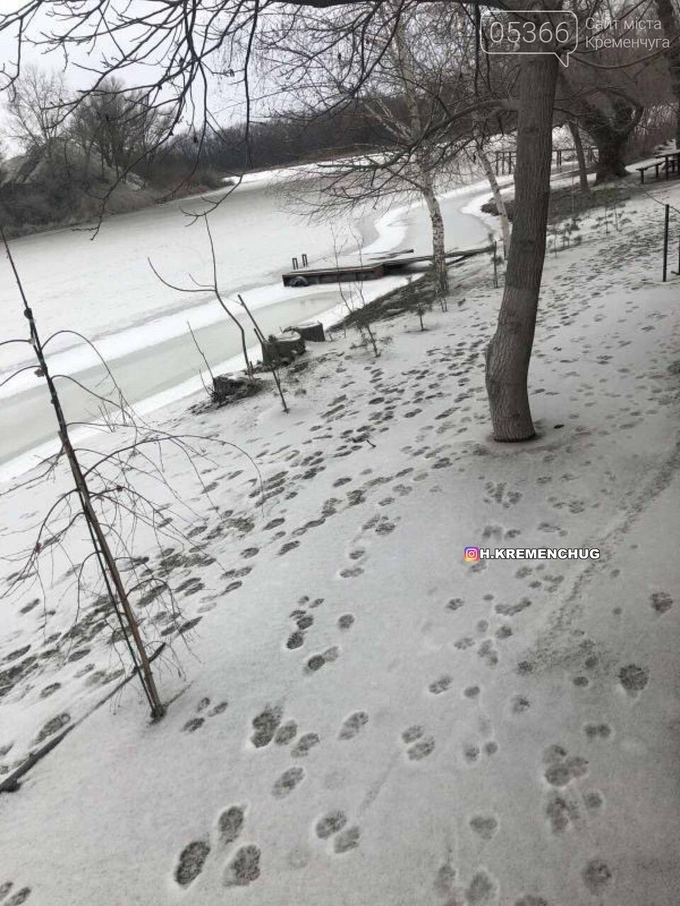 Кременчужани б'ють на сполох: на озері Щучому екологічна катастрофа, фото-3
