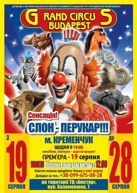 Цирк будапешт