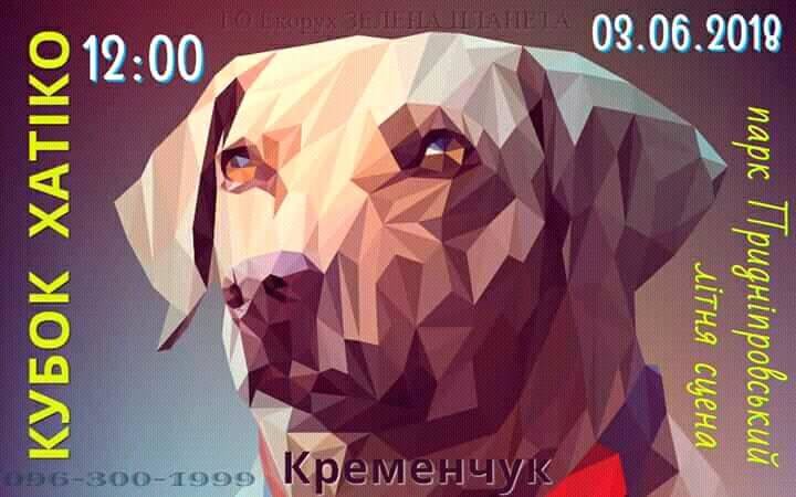 кубок Хатико кубок Хатико