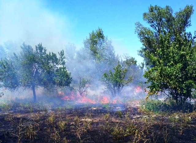 горіння сухої трави горіння сухої трави
