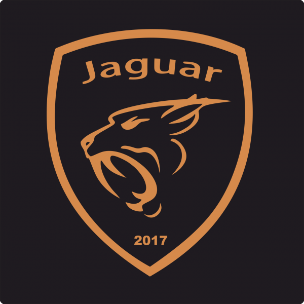 лого для хоккейного клуба лого для хоккейного клуба