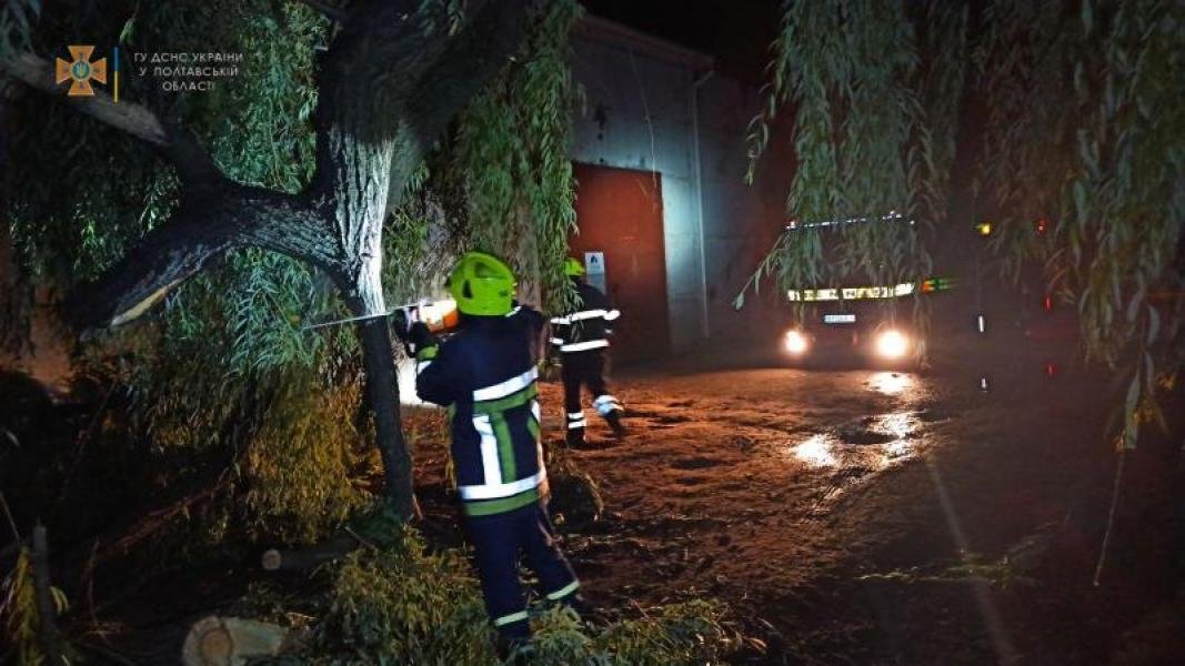 Вночі проїжджу частину перегородили дерево