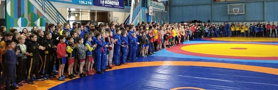 Кременчуцькі борці здобули