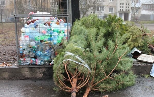 Куди викидати живу ялинку в Кременчуці