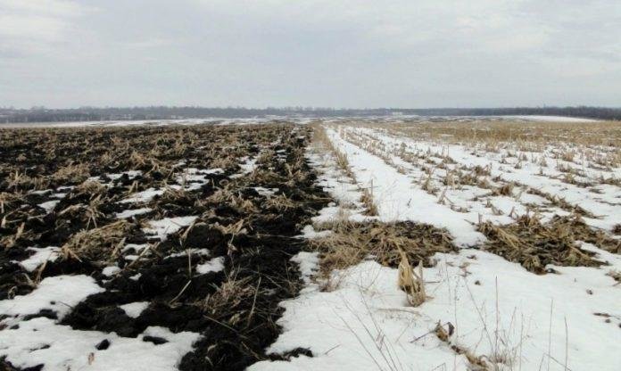 У Кременчуцькому районі без торгів фермеру надали чотири земельні ділянки