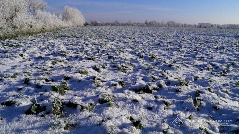 На Полтавщині через суд від товариства вимагають 140 тисяч гривень боргу