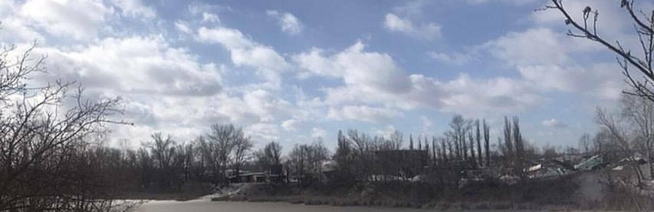 Кременчужани б'ють на сполох: на озері Щучому екологічна катастрофа