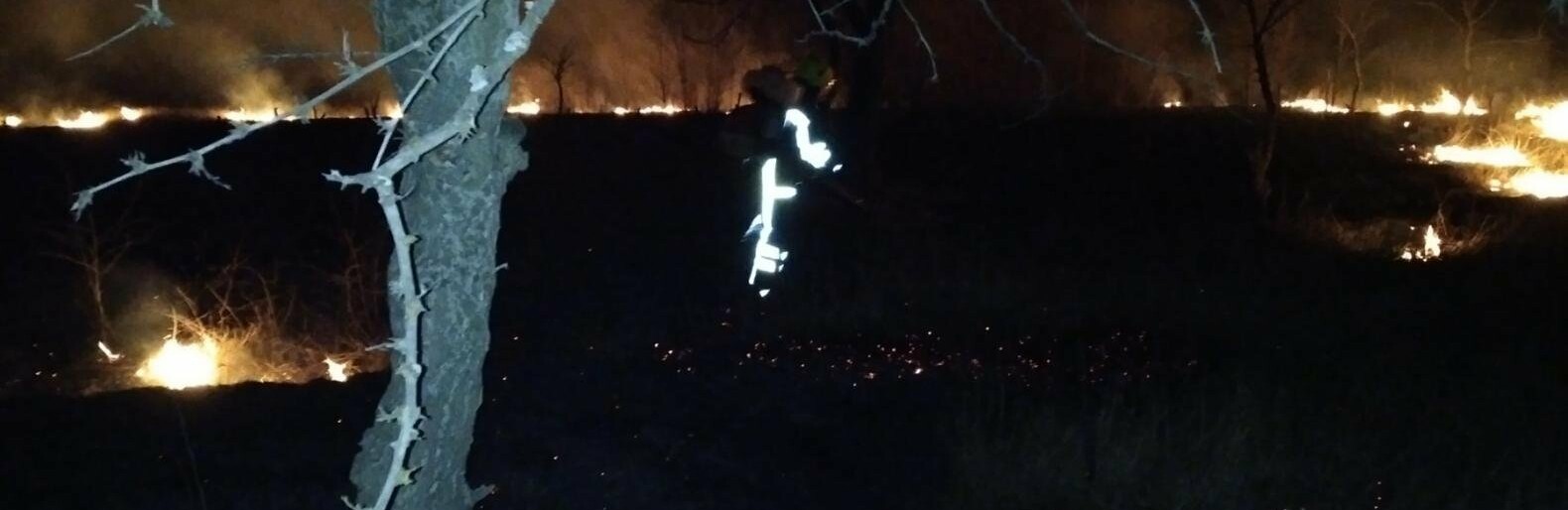 У Кременчуцькому районі знову палять сухостій