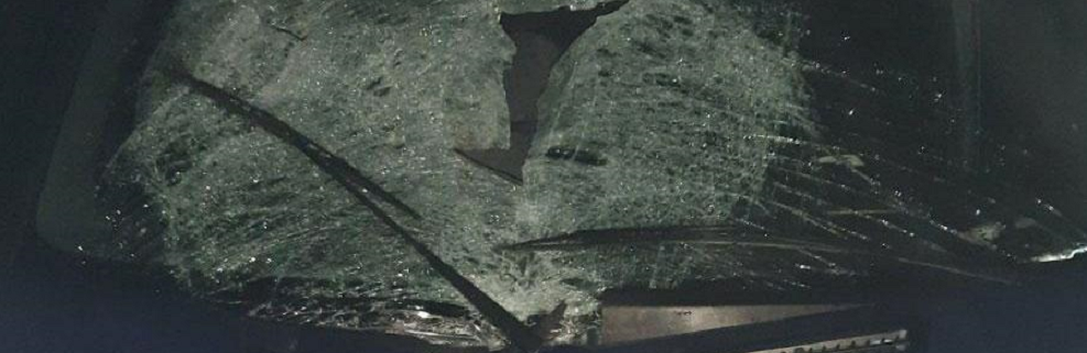 Фотографував заправку: чоловіка на смерть збила автівка на Полтавщині