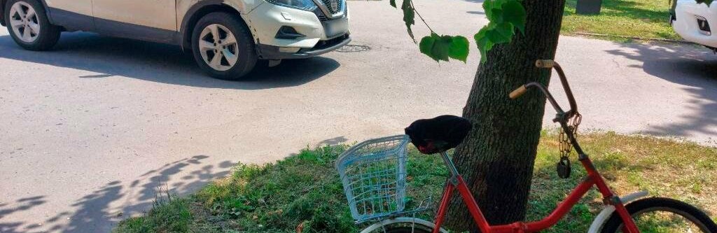 Загиблі і поранені: на Полтавщині за добу сталися 5 ДТП, і 7 людей потерпіли