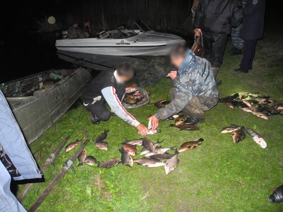 За сутки милиция Полтавщины изъяла 300 кг незаконной рыбы (ФОТО) (фото) - фото 2