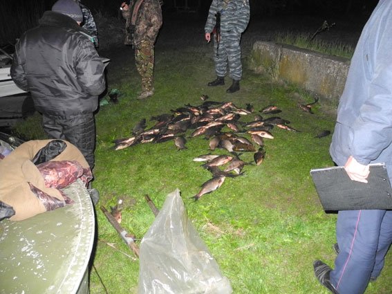 За сутки милиция Полтавщины изъяла 300 кг незаконной рыбы (ФОТО) (фото) - фото 1