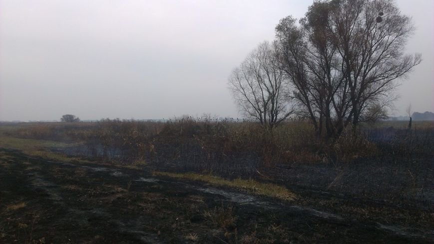На Полтавщині тліє і горить понад 100 гектарів торфу: у смогу Хорол, Глобино і Лубни (ФОТО, ВІДЕО ) (фото) - фото 3