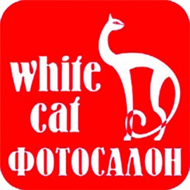 Жанна Николенко